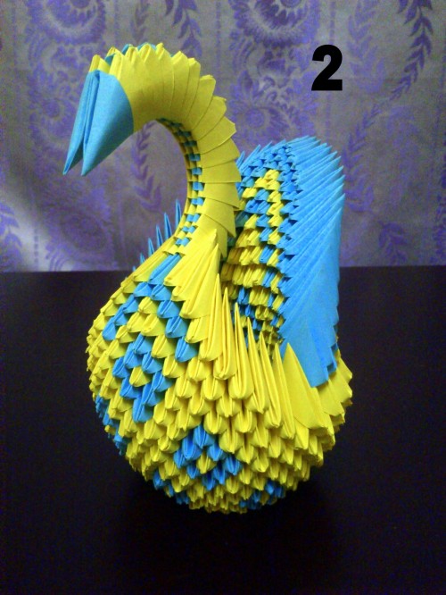 Yellow Blue Swan